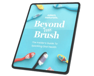 ProvaDent First Bonus Beyond the Brush